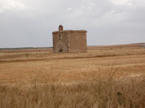 Ermita Monroy (10-06-15) (5)